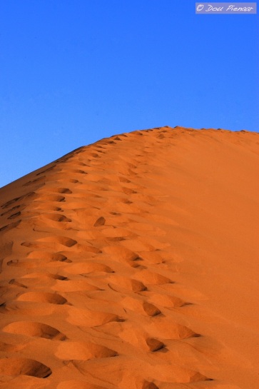 Human track on the Sossusvlei dunes