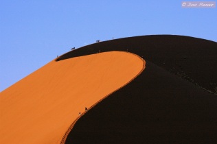 Sossusvlei dune scale